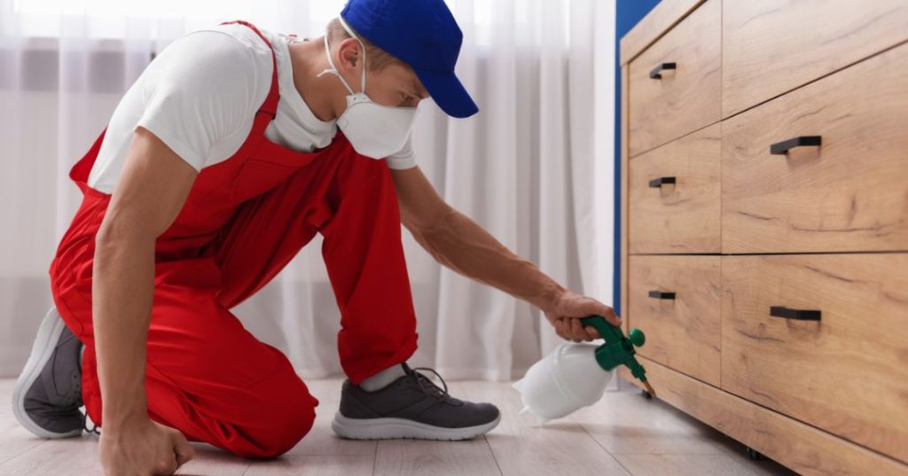 capa dedetizacao em Taboão da Serra